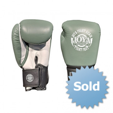 Joya Hawk Kickbokshandschoenen - Groen/Wit